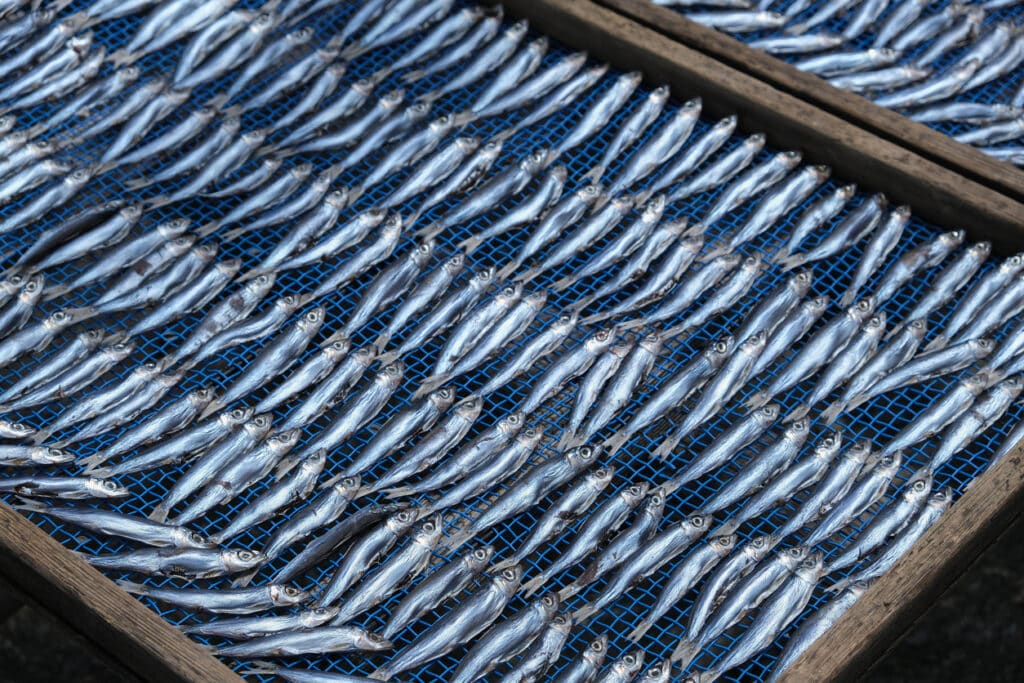 metal racks used in seafood processing facilities